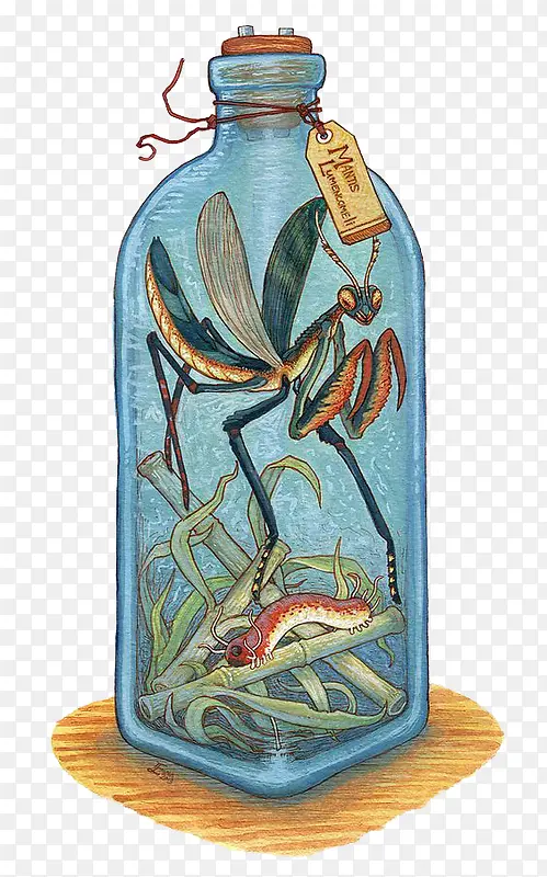 װ��ƿ��������-������