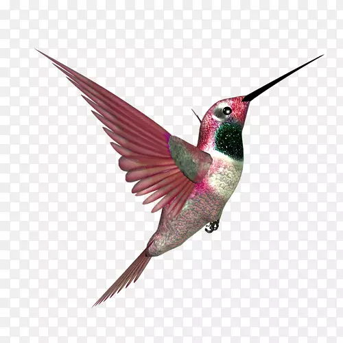 �����첩����ë������-������