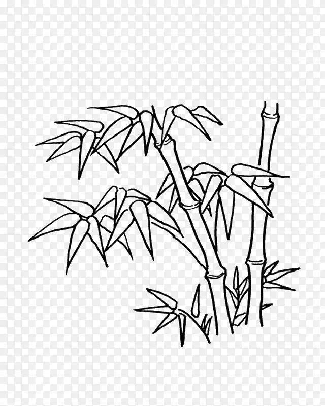 ��ɫ����-������