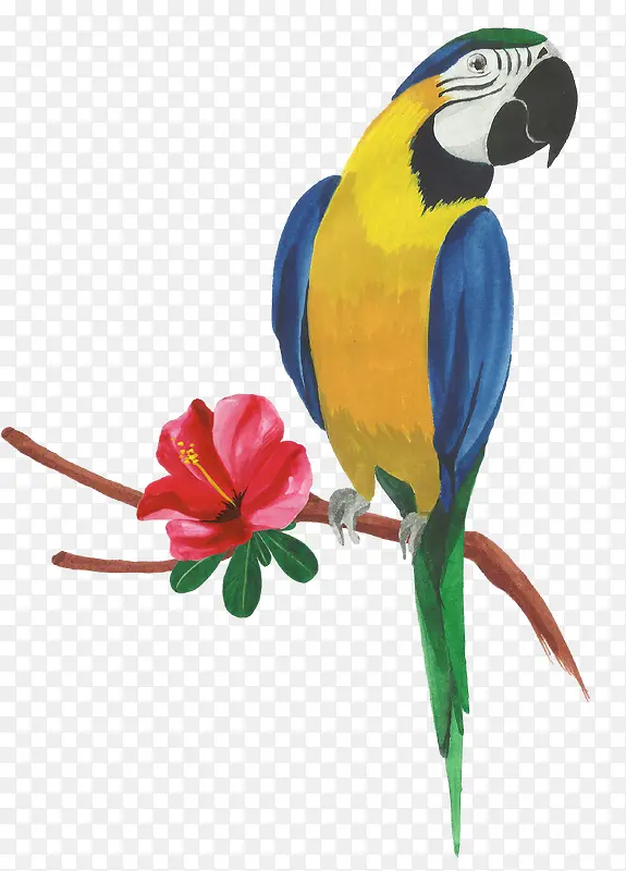 ��֦�ϵ��ֻ�����-������