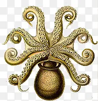 �ֻ�����-������