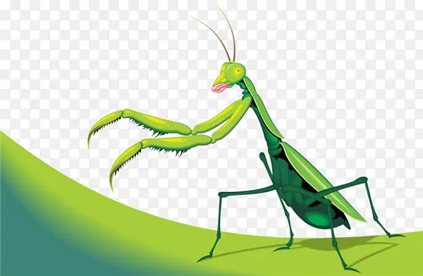 ��ͨ����ز�-������