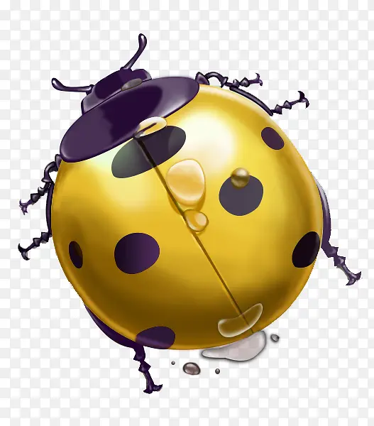 ��ɫ����ư��-������