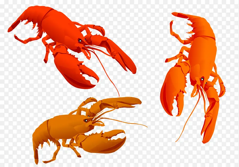 �ɰ�����Ϻ����ز�-������