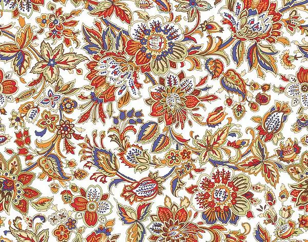 ���Ʊ����ز�-������