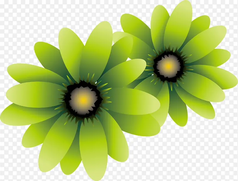 �ʻ�ʸ��ͼ-������