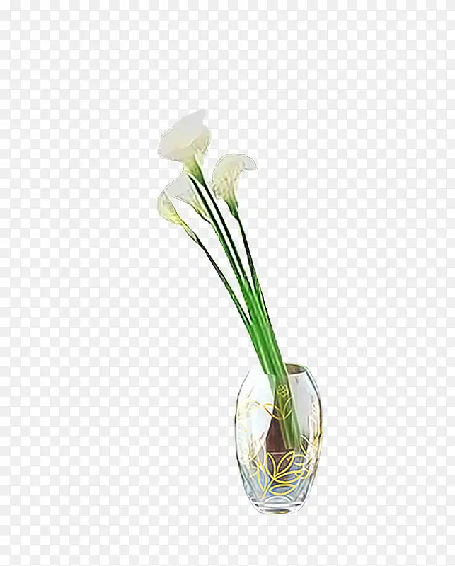 ������ƿ-������