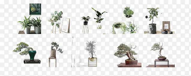 ʵ������-������