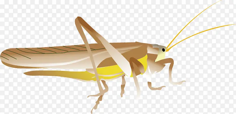 ����ʸ���ز�-������