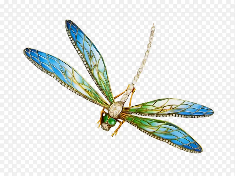 ��ɫ������-������