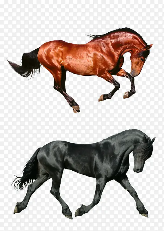 �����ز�-������