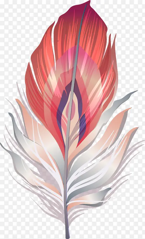 ������ɫ��ë-������