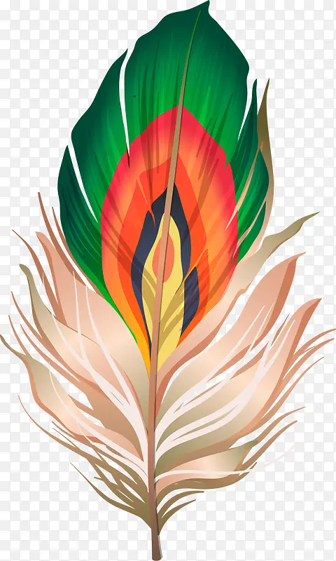 ������ɫ��ë-������