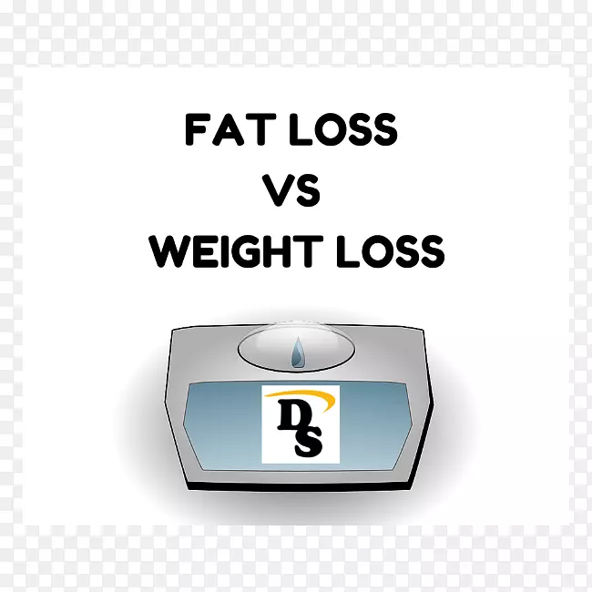 ����˹��ʿ������������ά�����Σ��������ݼ���Ժ�����չػ��͹�Ϣ�������˶�����-����-������