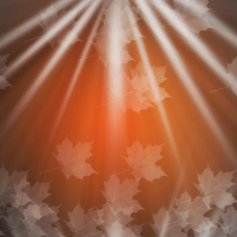 ��ɫ��Ҷ��ɫ��Ч���Ӵ���ϳ�-������