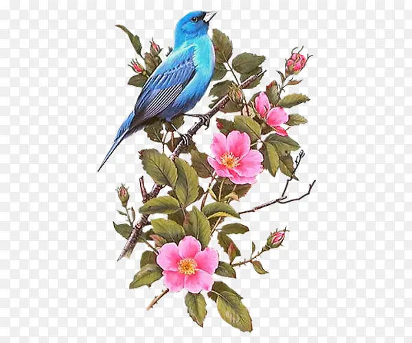 ��ͨ�ֻ滨��-������