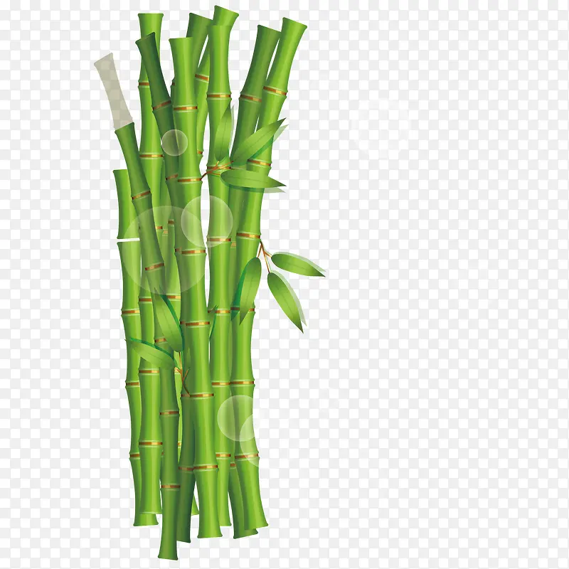 ʸ�������ز�-������