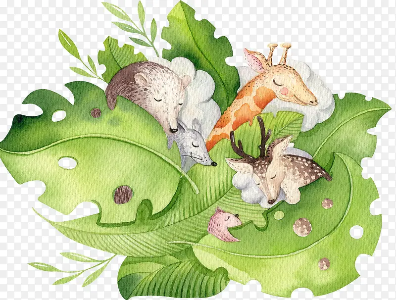 ��ͨ�ɰ�С����װ����ƶ���ͷ��-������