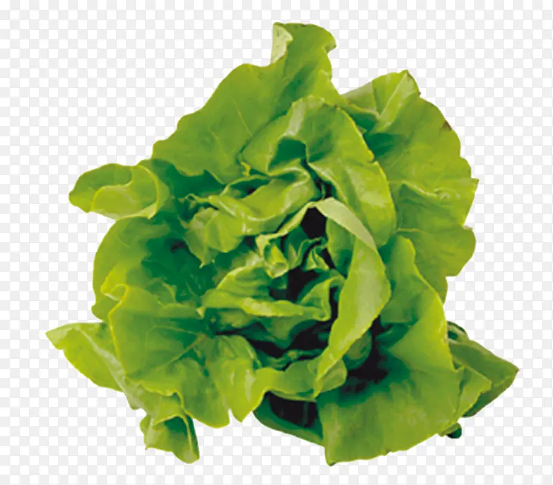 ��ɫ�߲�-������