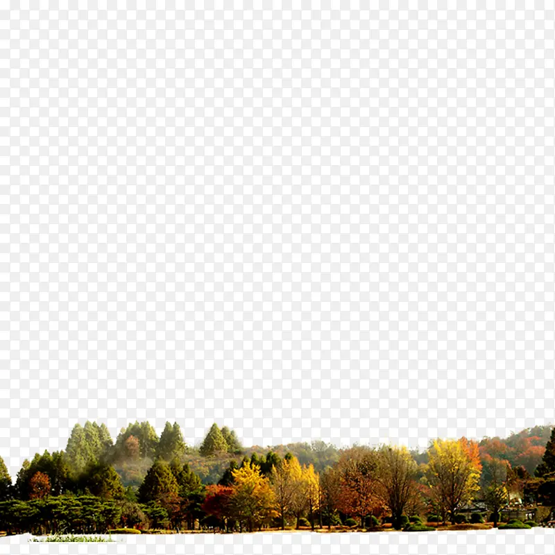 ��Ԫ��-������