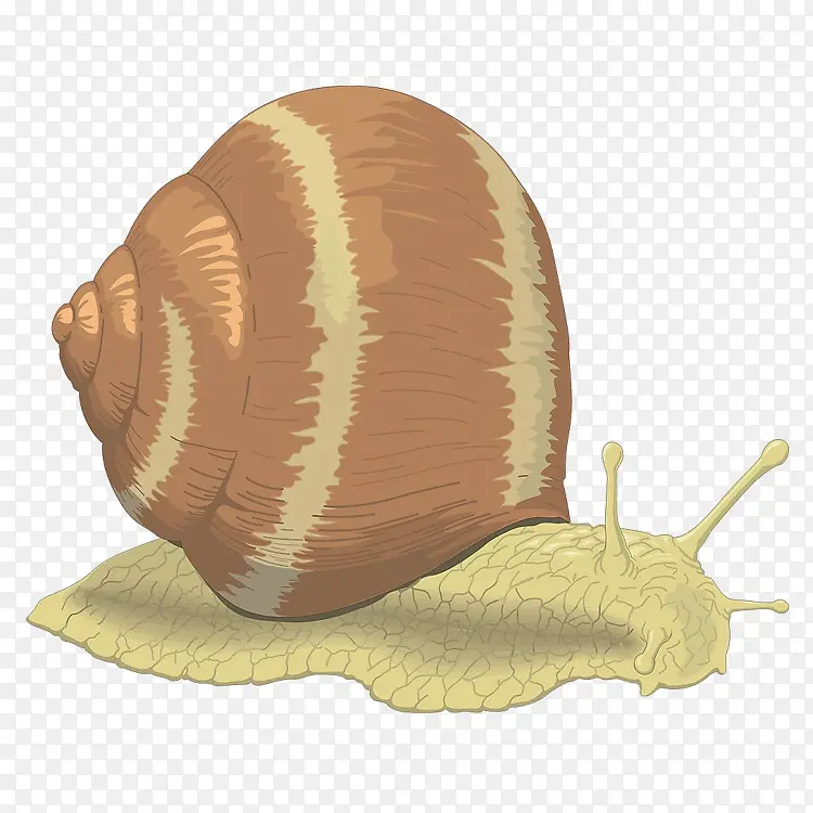 ��ţ-������