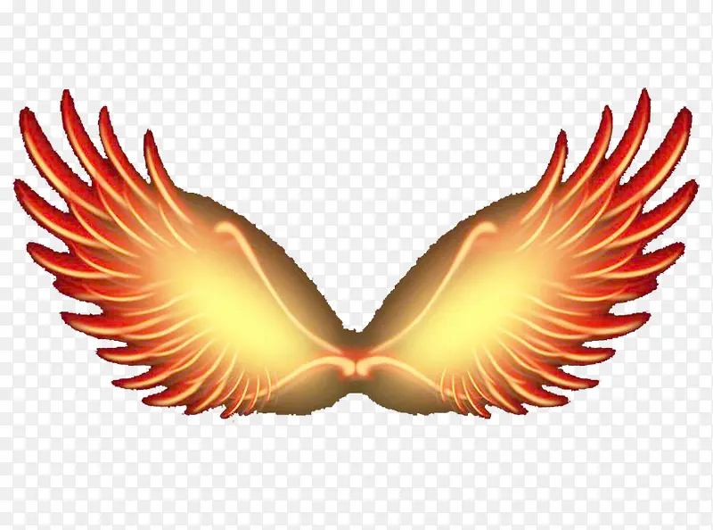 ����һ���Ļ���-������