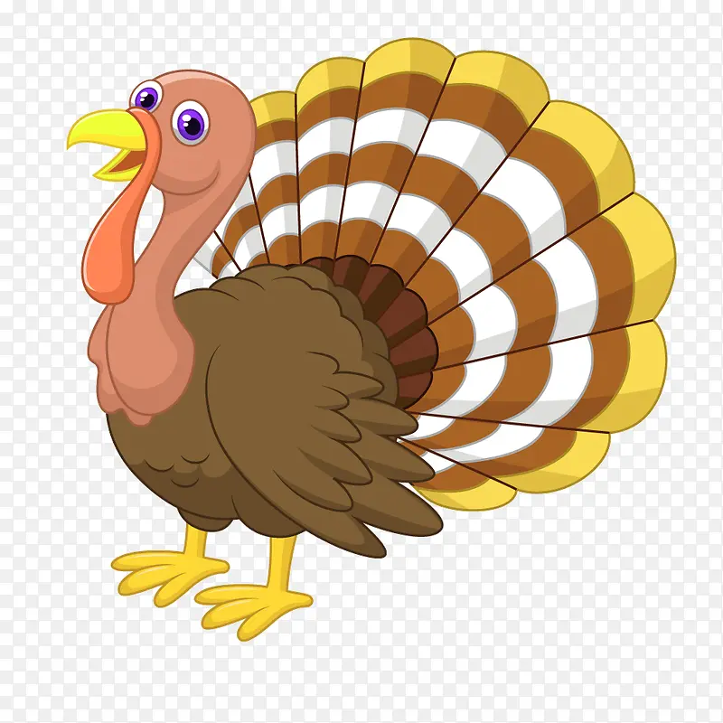 ��ɫ��ͨ��ȸ����-������