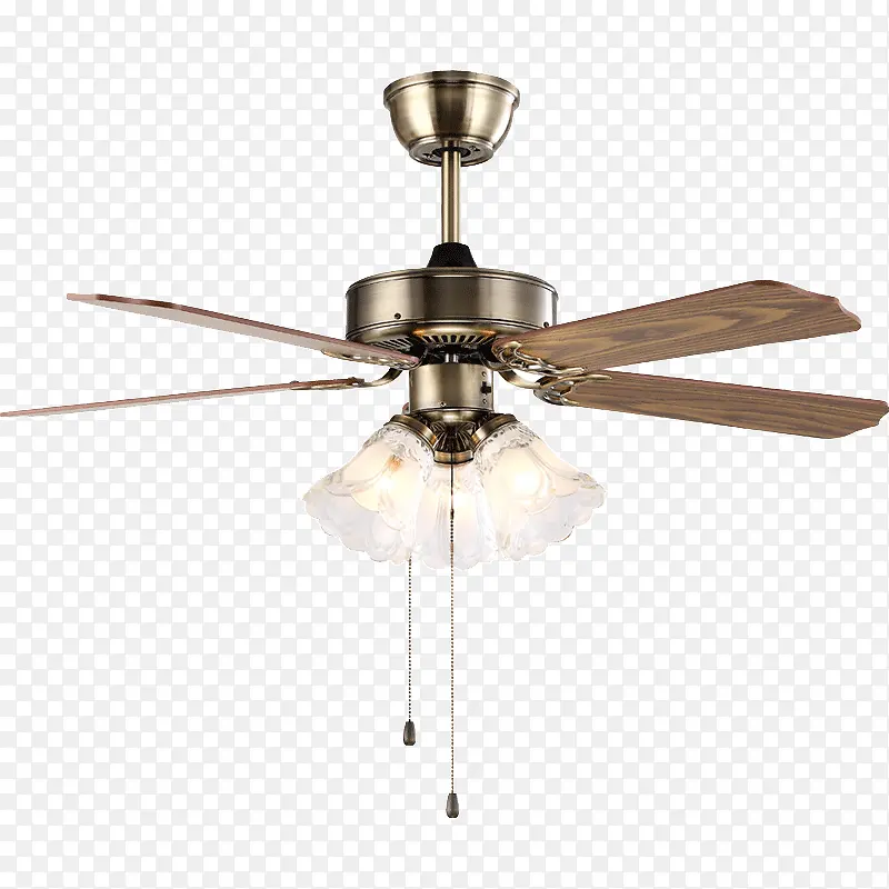 ��ԼľҶ���ȵ���-������