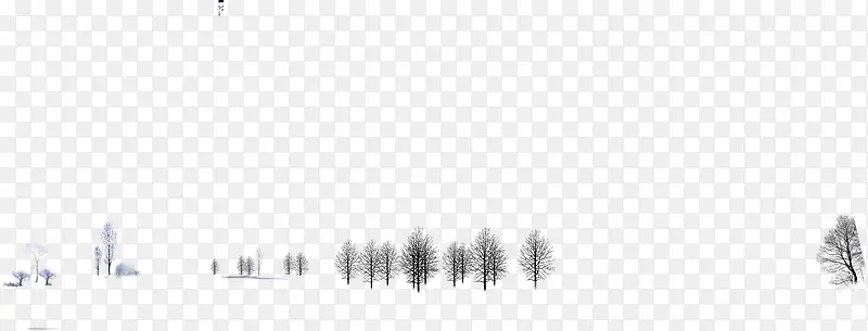 ����ѧ����������-������