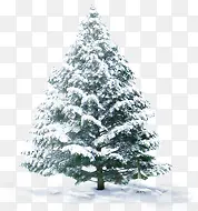 �������»������-������