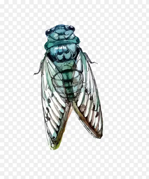 �廭��ɫ��-������