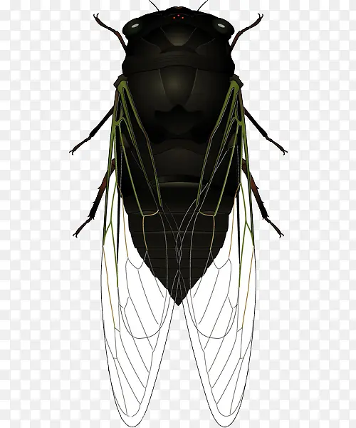 �廭���ز�-������