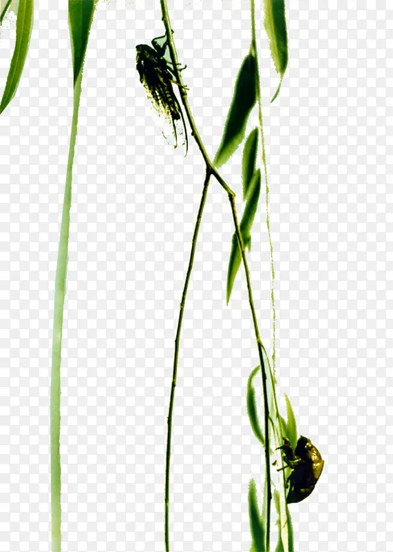 ����-������