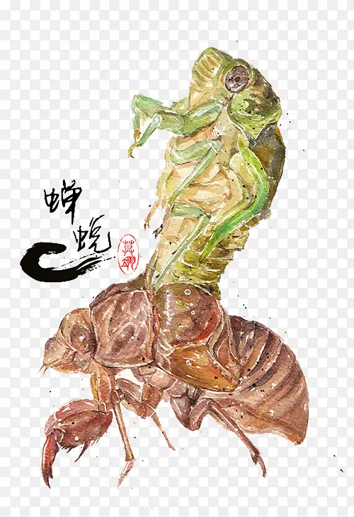 ����ѿ�-������