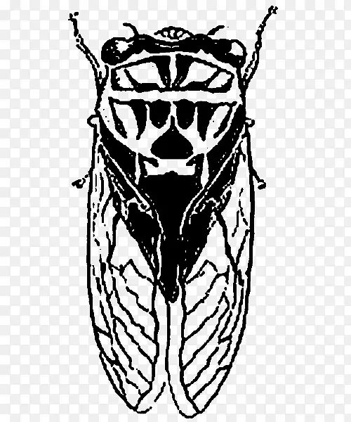 ʸ��ͼ��-������