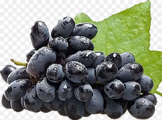 ���ں�����-������