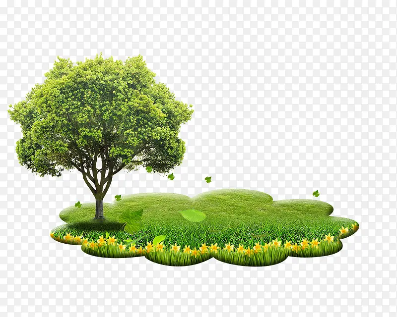 �����ز�-������