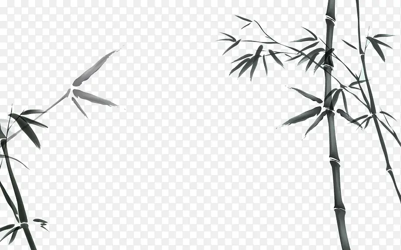 ˮī�����ز�-������