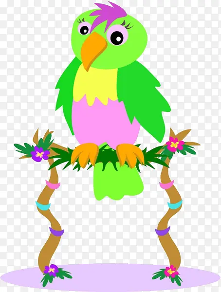 ��ͨ��֦�ϵ���-������