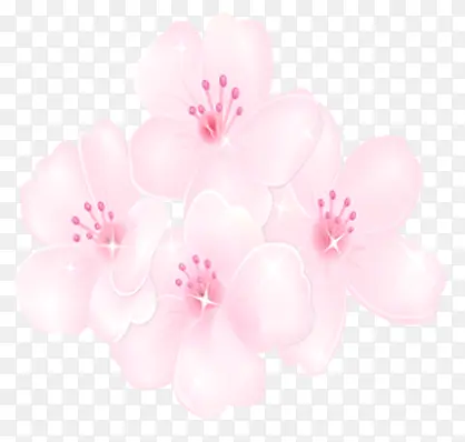 �ֻ濨ͨ�����ǵ㻨��-������