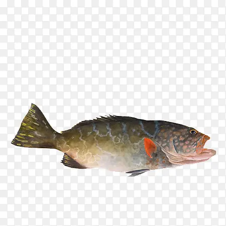 ����廭Ԫ��-������