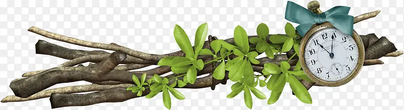 ľ������Ҷ-������