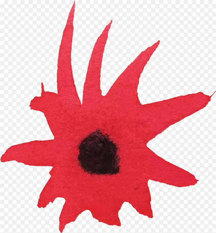 ����ˮ�ʻ�����ˮ�ʻ�-������