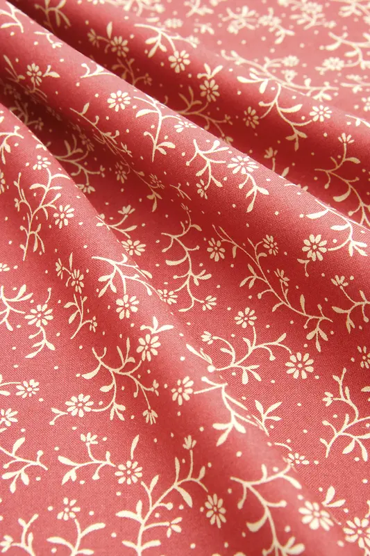 ���Ʊ���-������