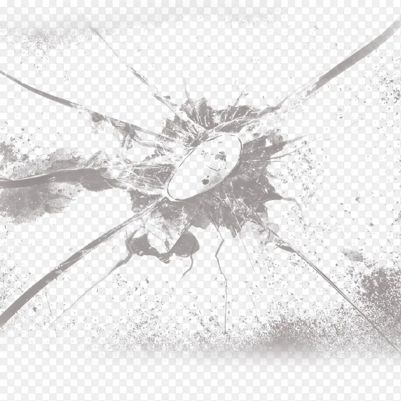 ���鲣��-������