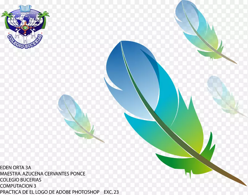 ��ë�ʱ�־-������ͷ-������