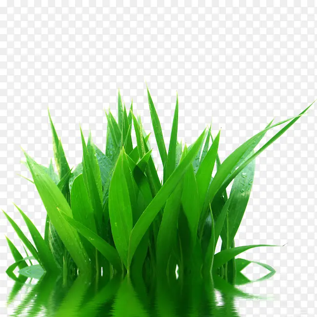 ˮ���е�Ӱ�Ĳ�-������