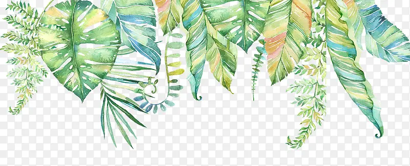 �����ɫ�廭ֲ��Ҷ��-������