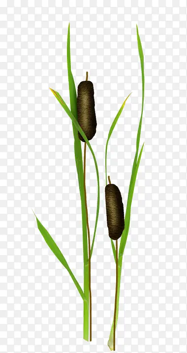 «έ-������