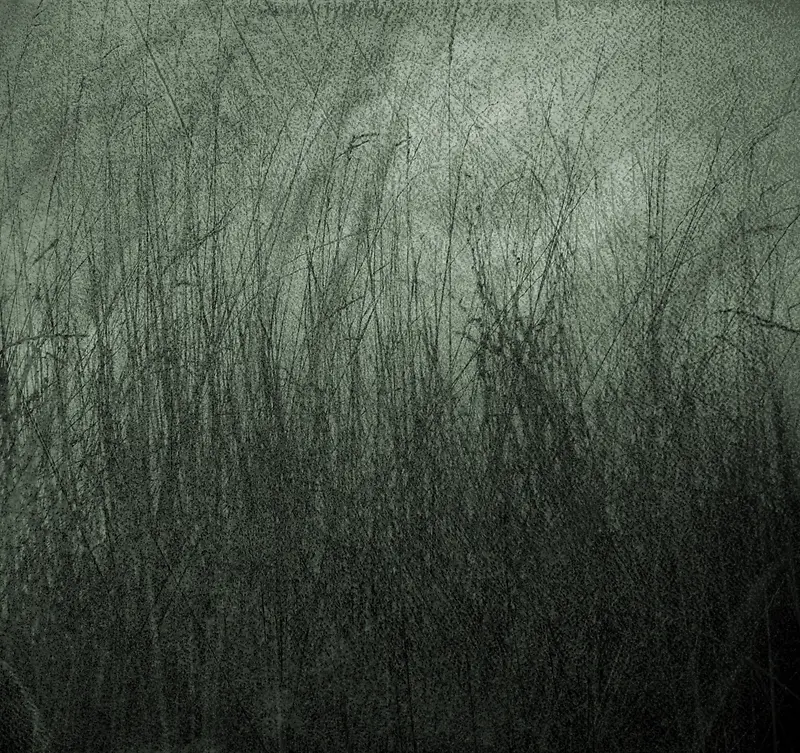 ��ɫ«έ����-������